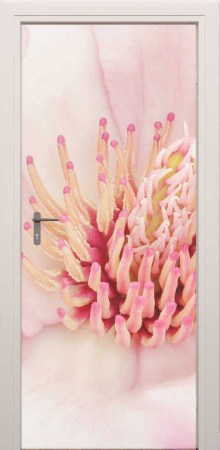 deursticker closeup bloem